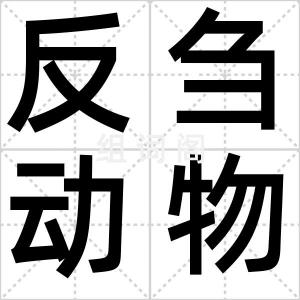 反刍动物