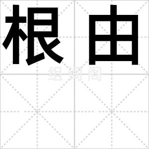 根由