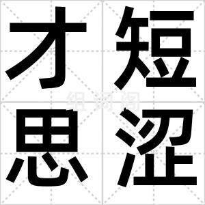 才短思涩