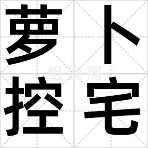 萝卜控宅男