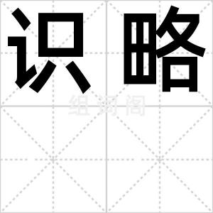 识略