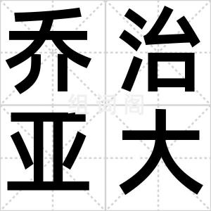 乔治亚大学