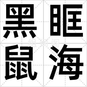 黑眶鼠海豚