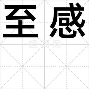 至感