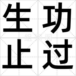 生功止过