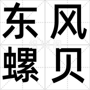 东风螺贝