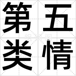 第五类情感
