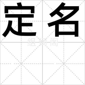 定名