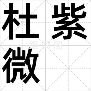 杜紫微