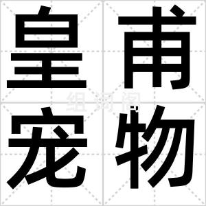 皇甫宠物馆
