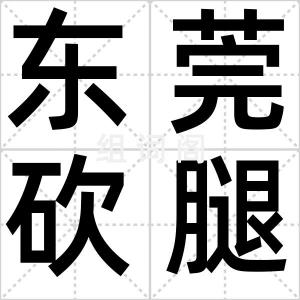 东莞砍腿党