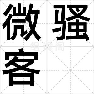 微骚客