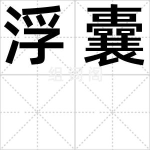 浮囊