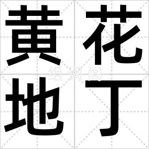 黄花地丁