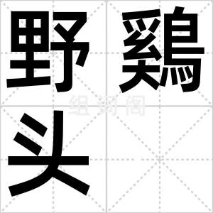 野鷄头