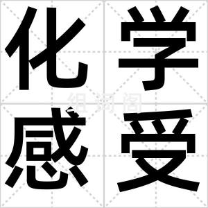 化学感受器