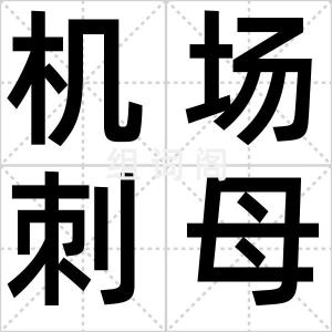 机场刺母案