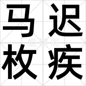 马迟枚疾