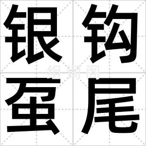 银钩虿尾