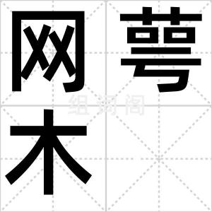 网萼木