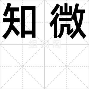 知微