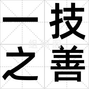 一技之善