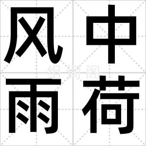 风中雨荷