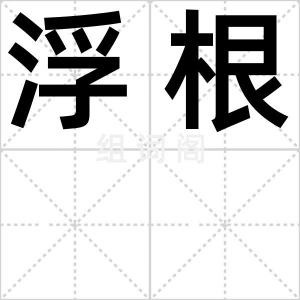 浮根