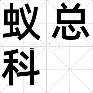 蚁总科