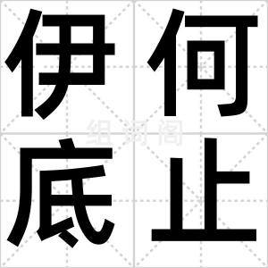 伊何底止