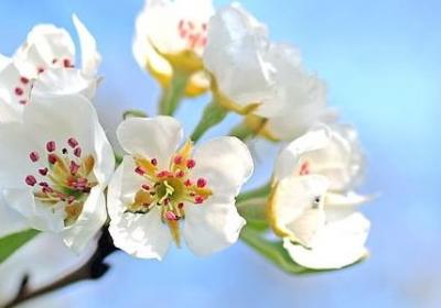 瘤组词 用瘤字怎么组词(49个)