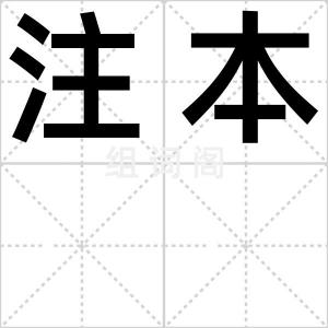 注本