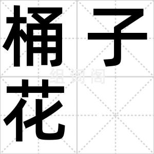 桶子花