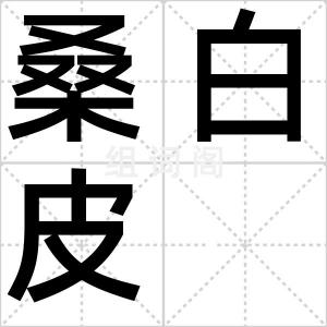 桑白皮