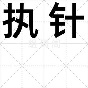 执针