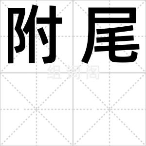 附尾