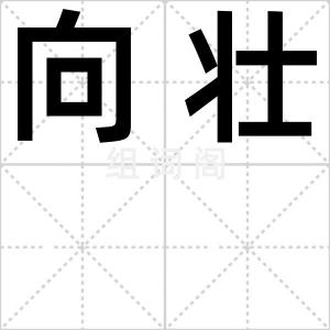 向壮