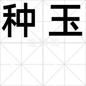 种玉
