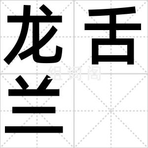龙舌兰