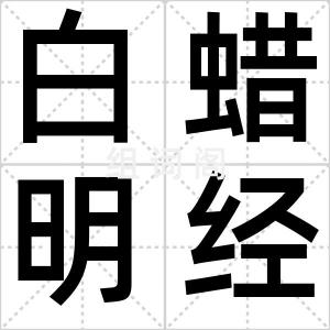 白蜡明经