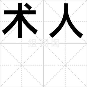术人
