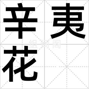 辛夷花