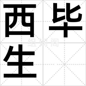 西毕生