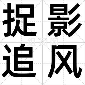 捉影追风