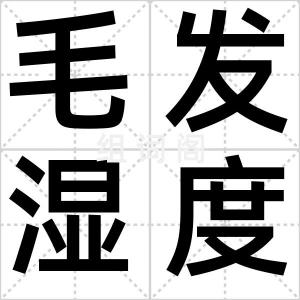 毛发湿度表