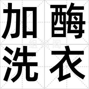 加酶洗衣粉