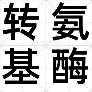 转氨基酶
