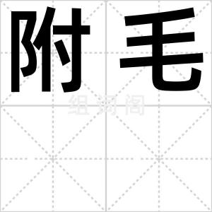 附毛