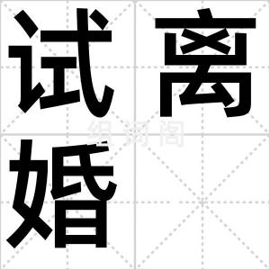 试离婚