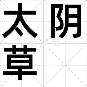 太阴草